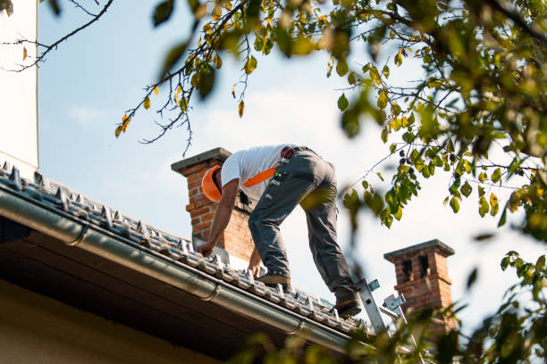 Best Tile Roofing Contractor  in Reese, MI