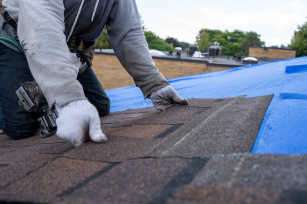 Best Residential Roofing Contractor  in Reese, MI