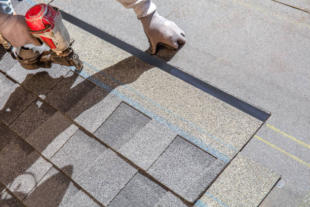 Best Shingle Roofing Installation  in Reese, MI